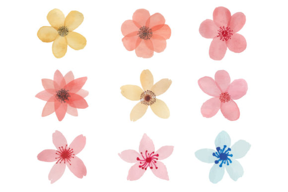 Hand-drawn Flowers with Watercolor: Decorative Elements Review