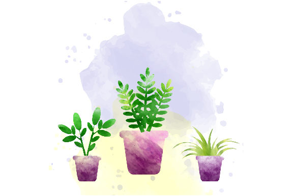 Watercolor House Plants by Designs Amp Review